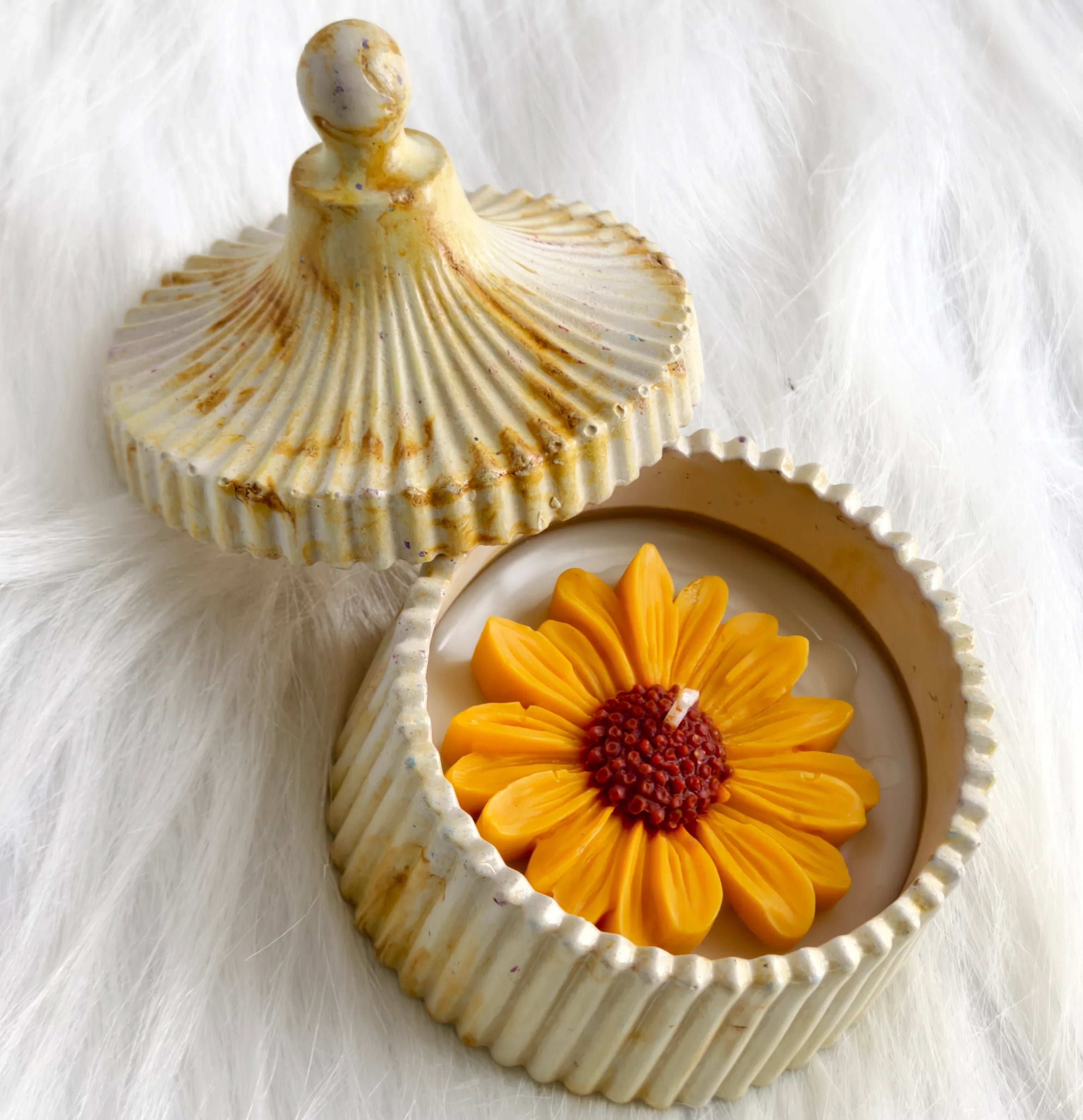 Sunflower Glow Series